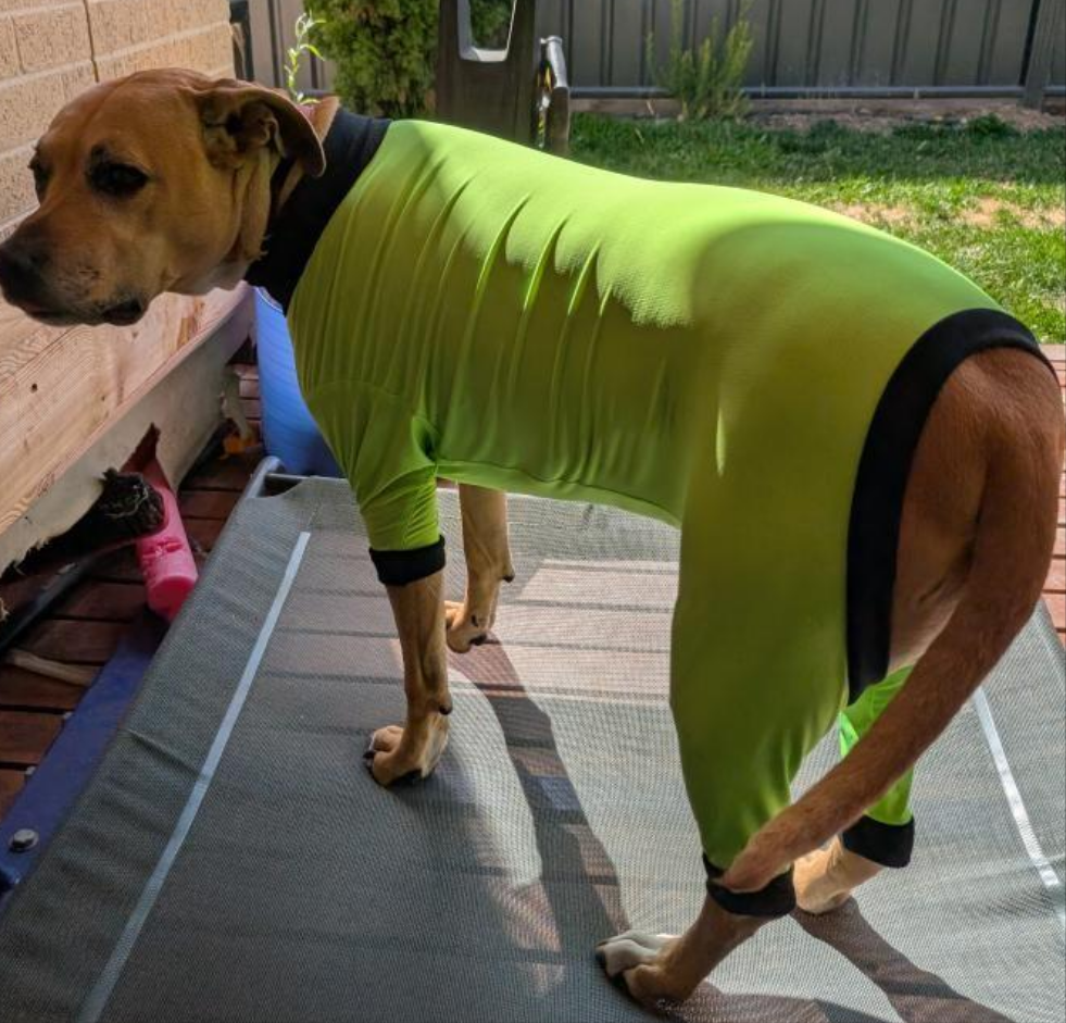 UV/Rash Suit BOY