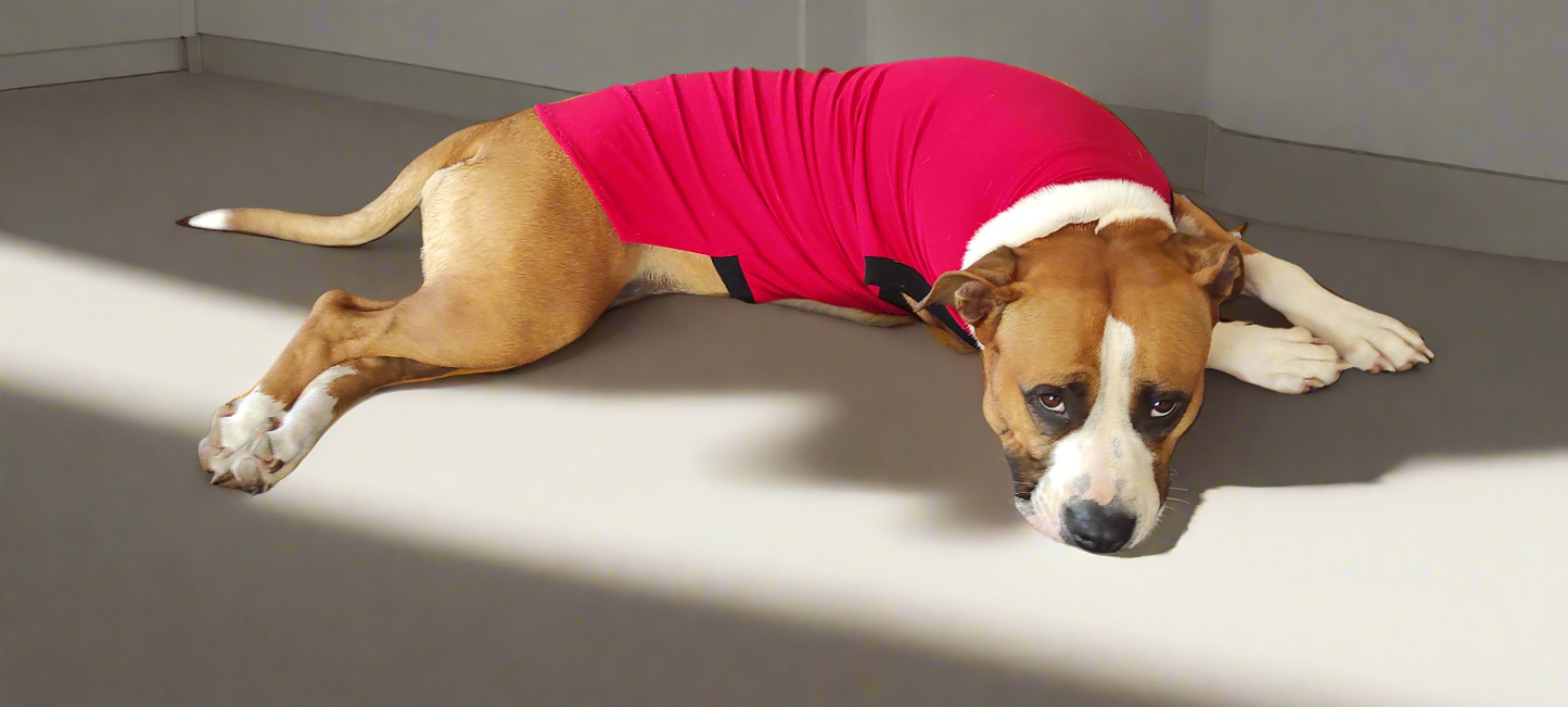UPF 50+ Protective Rash Singlet UNISEX(Plus TRI-PAWDS)