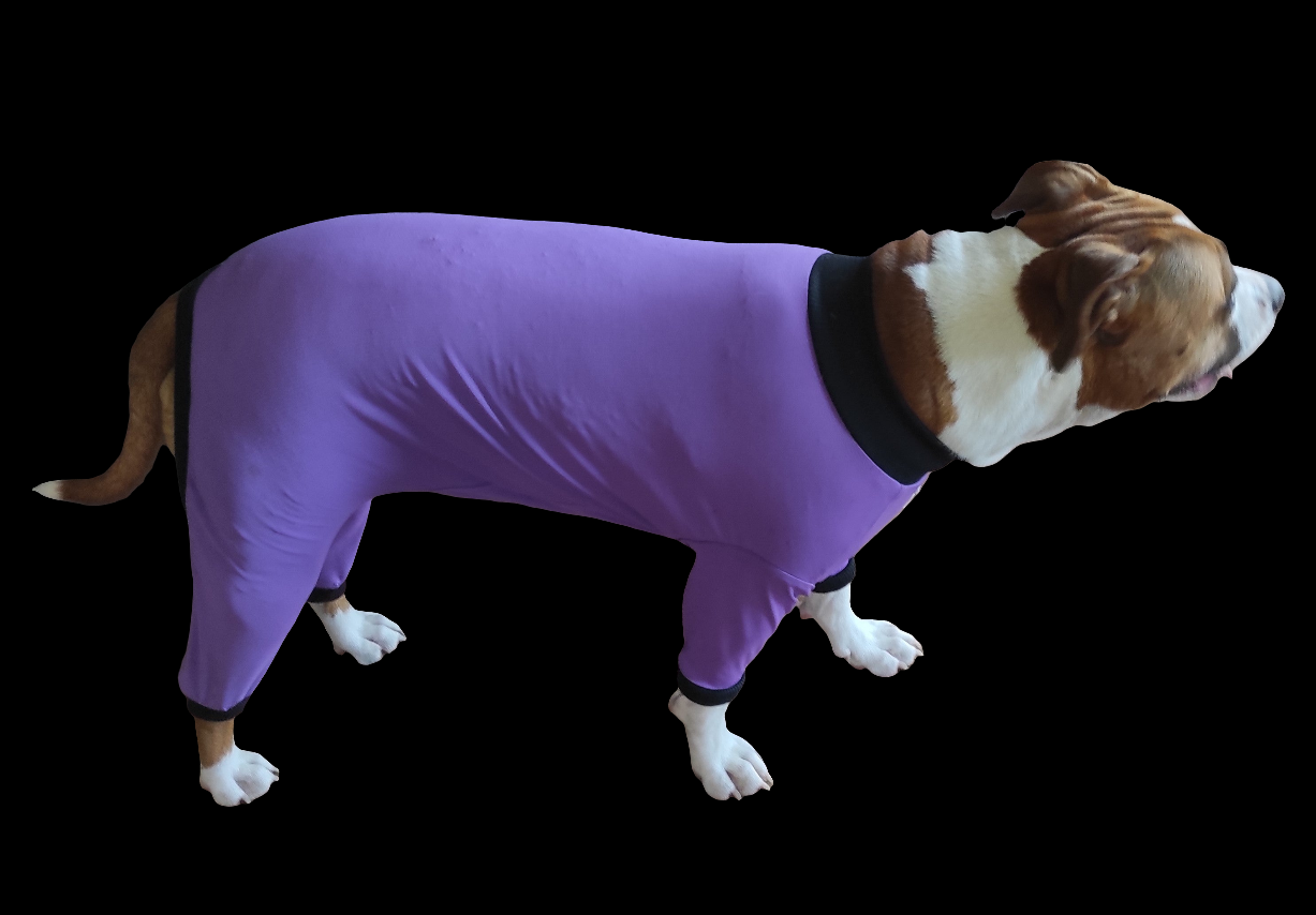 UV/Rash Suit BOY