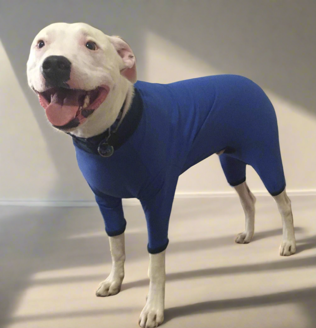 UV/Rash Suit BOY