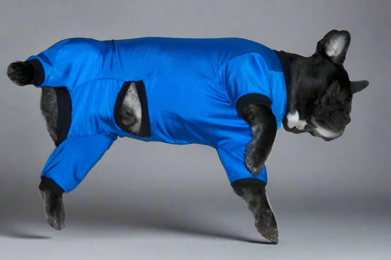 UV/Rash Suit BOY