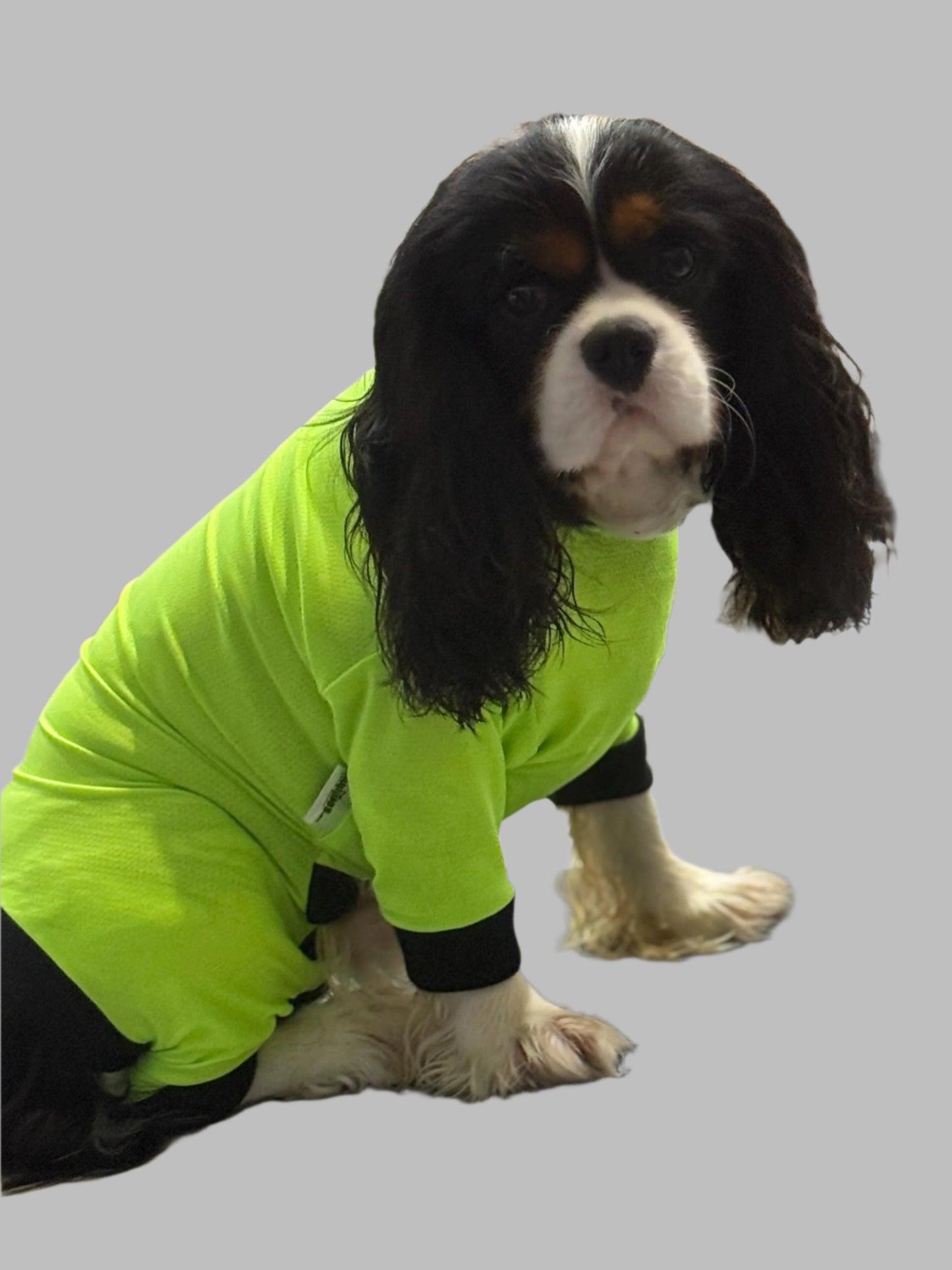 UV/Rash Suit BOY