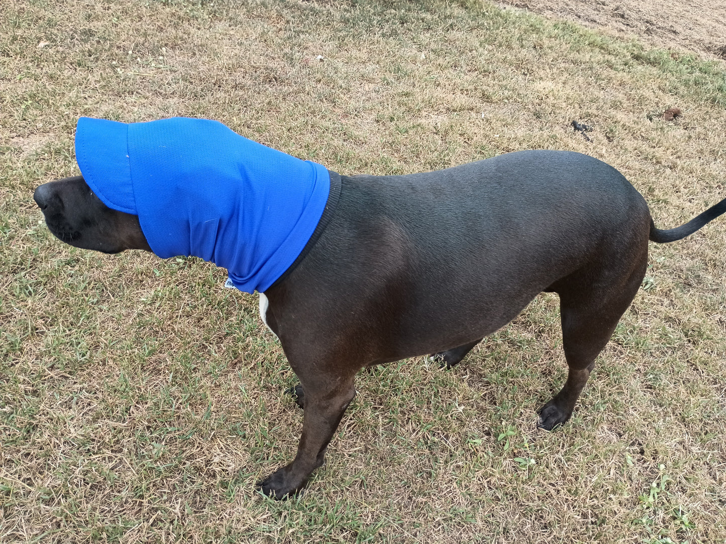 Snoodie Cap UV50+
