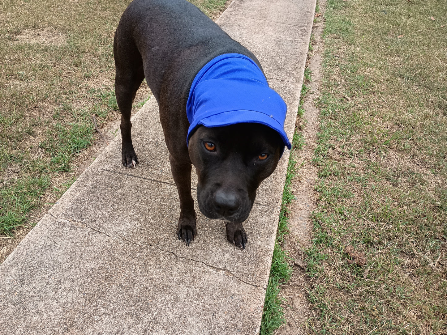 Snoodie Cap UV50+
