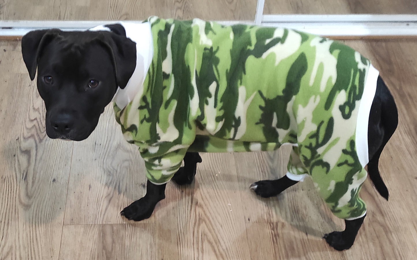 PJ's