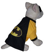 BatDog