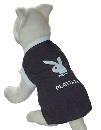 Black PlayDog Singlet