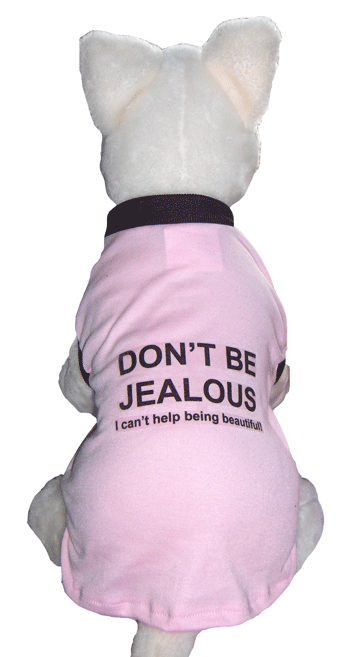 Jealous Singlet
