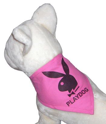 PlayDog Bandana