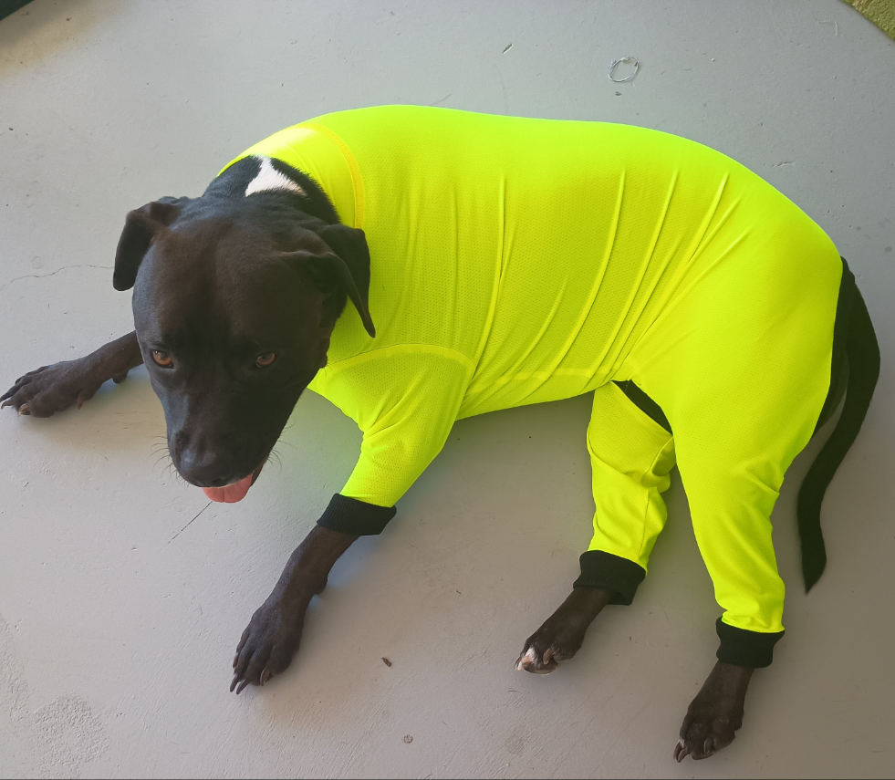 UV/Rash Suit GIRL