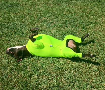 UV/Rash Suit GIRL