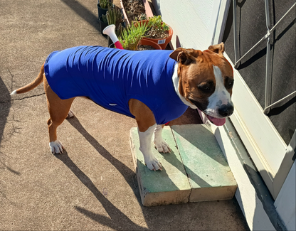 UPF 50+ Protective Rash Singlet UNISEX(Plus TRI-PAWDS)