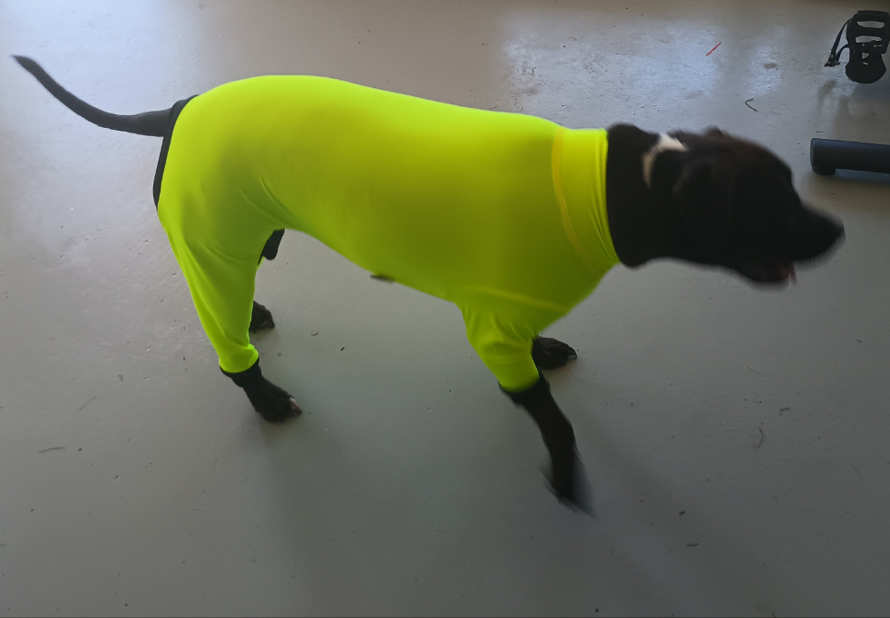 UV/Rash Suit GIRL