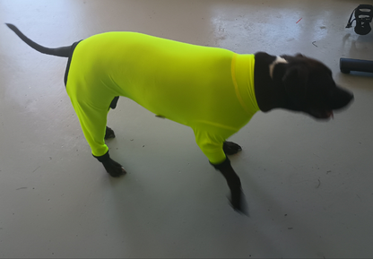 UV/Rash Suit GIRL