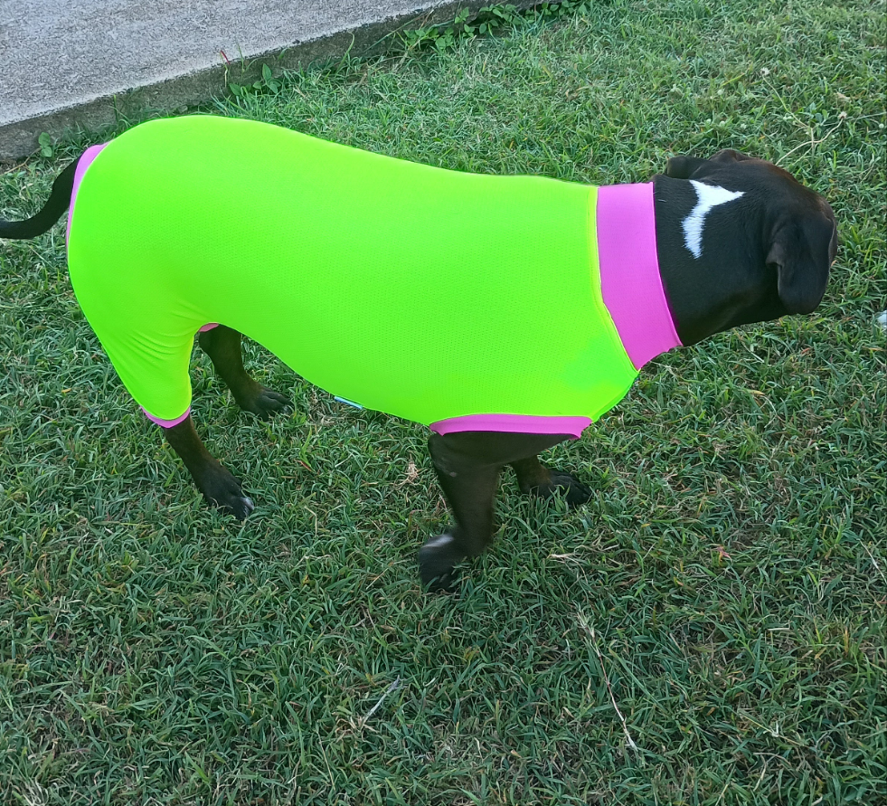 Girls UPF50+ Sleeves shorter leg.