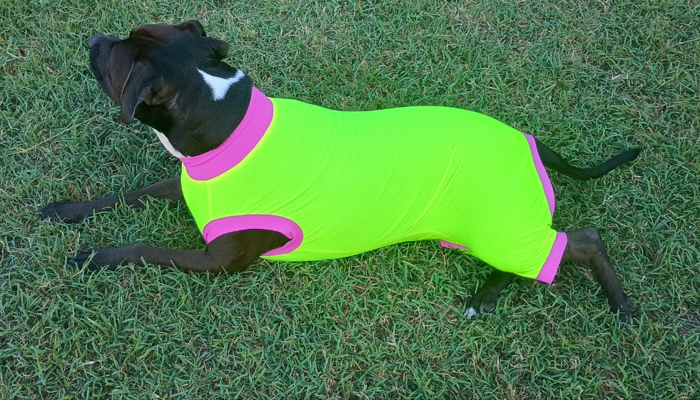 Girls UPF50+ Sleeves shorter leg.