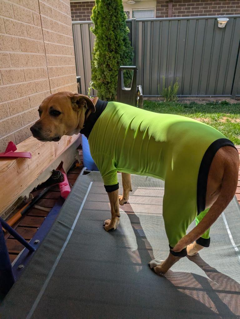 UV/Rash Suit GIRL