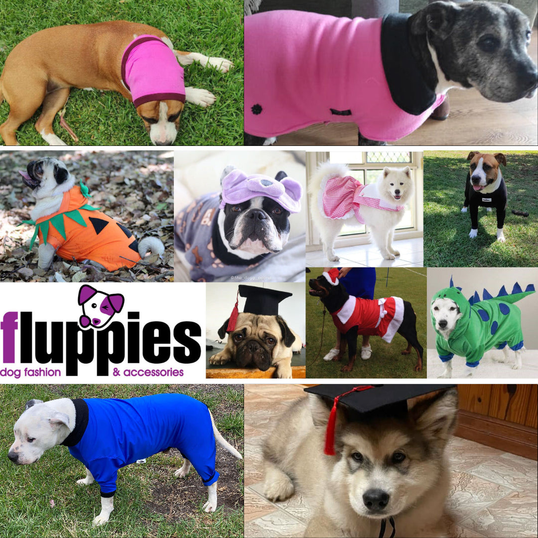 Dog Clothing and accessories. – Fluppies