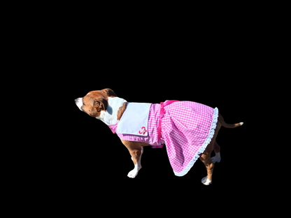 FarmGirl Dress
