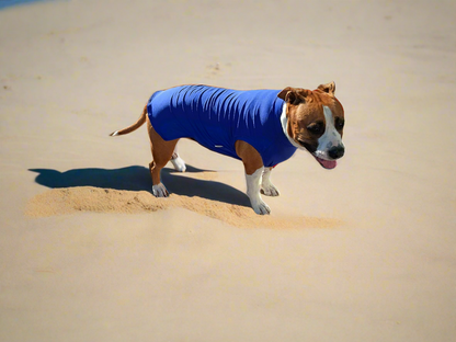 UPF 50+ Protective Rash Singlet UNISEX(Plus TRI-PAWDS)