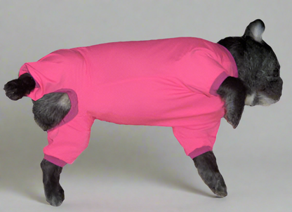 UV/Rash Suit GIRL