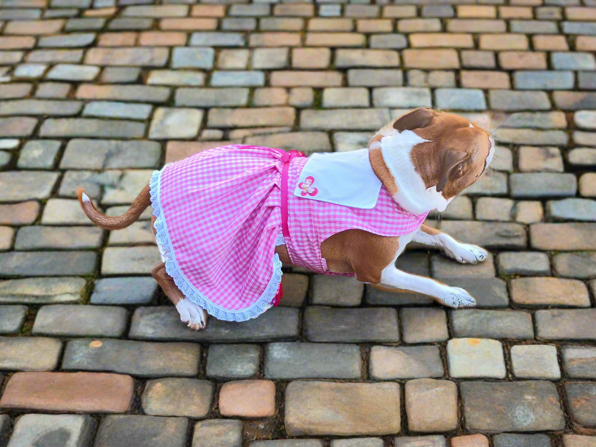 FarmGirl Dress