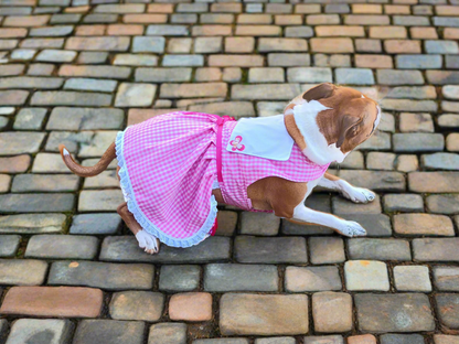 FarmGirl Dress