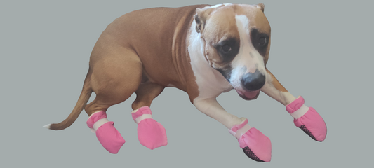 Water resistant booties