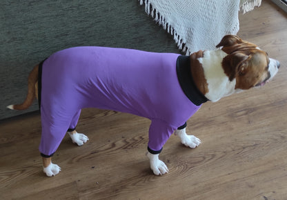 UV/Rash Suit BOY and  "NEW TRI-PAWDS"