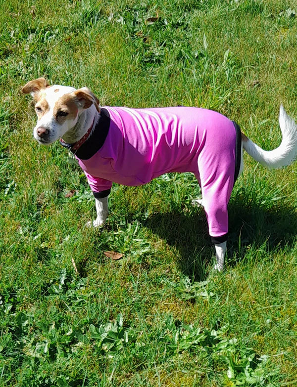 UV/Rash Suit GIRL and "NEW TRI-PAWDS".