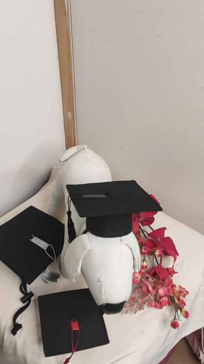 Graduation Cap Pets