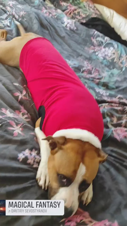 UV/Rash Singlet UNISEX(Plus TRI-PAWDS)