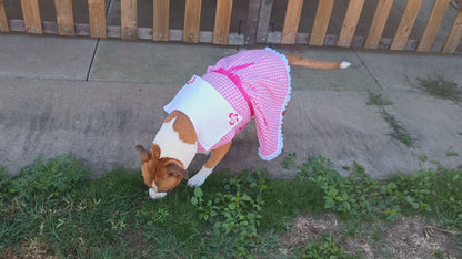FarmGirl Dress