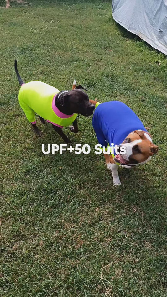 Girls UPF50+ Sleeves shorter leg.