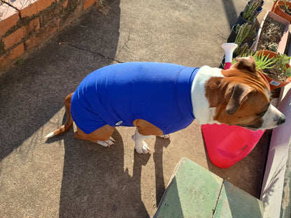 UPF 50+ Protective Rash Singlet UNISEX(Plus TRI-PAWDS)