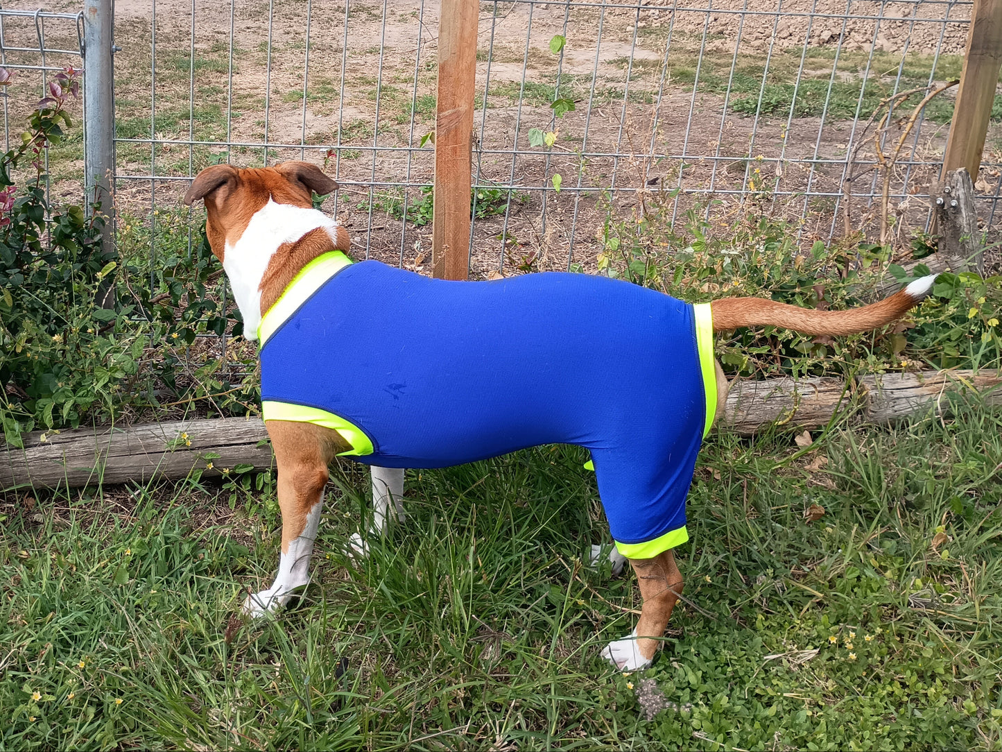 Girls UPF50+ Sleeves shorter leg.
