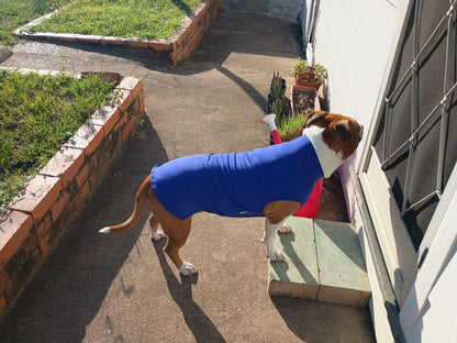 UPF 50+ Protective Rash Singlet UNISEX(Plus TRI-PAWDS)