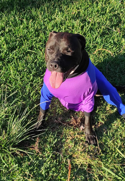 UV/Rash Suit GIRL and "NEW TRI-PAWDS".