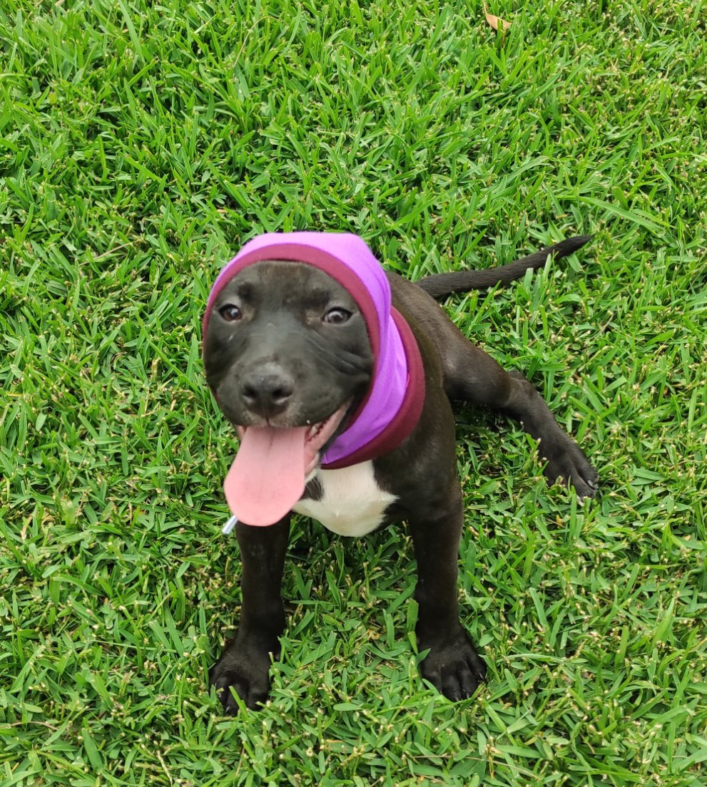 UV Snoods head wear