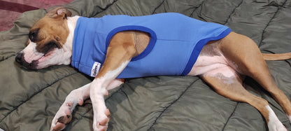 Light weight T- shirt