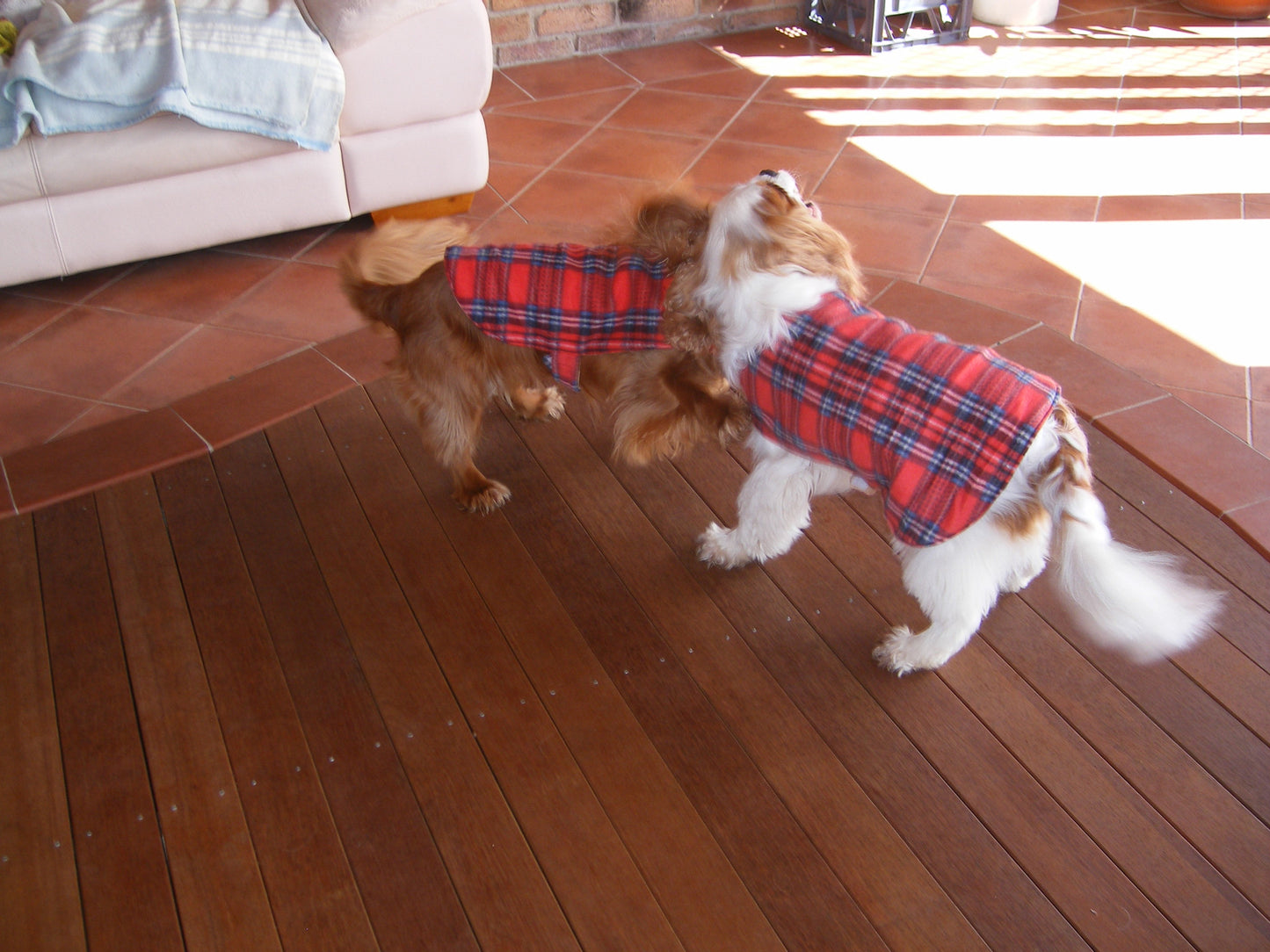 Charlie and Sam