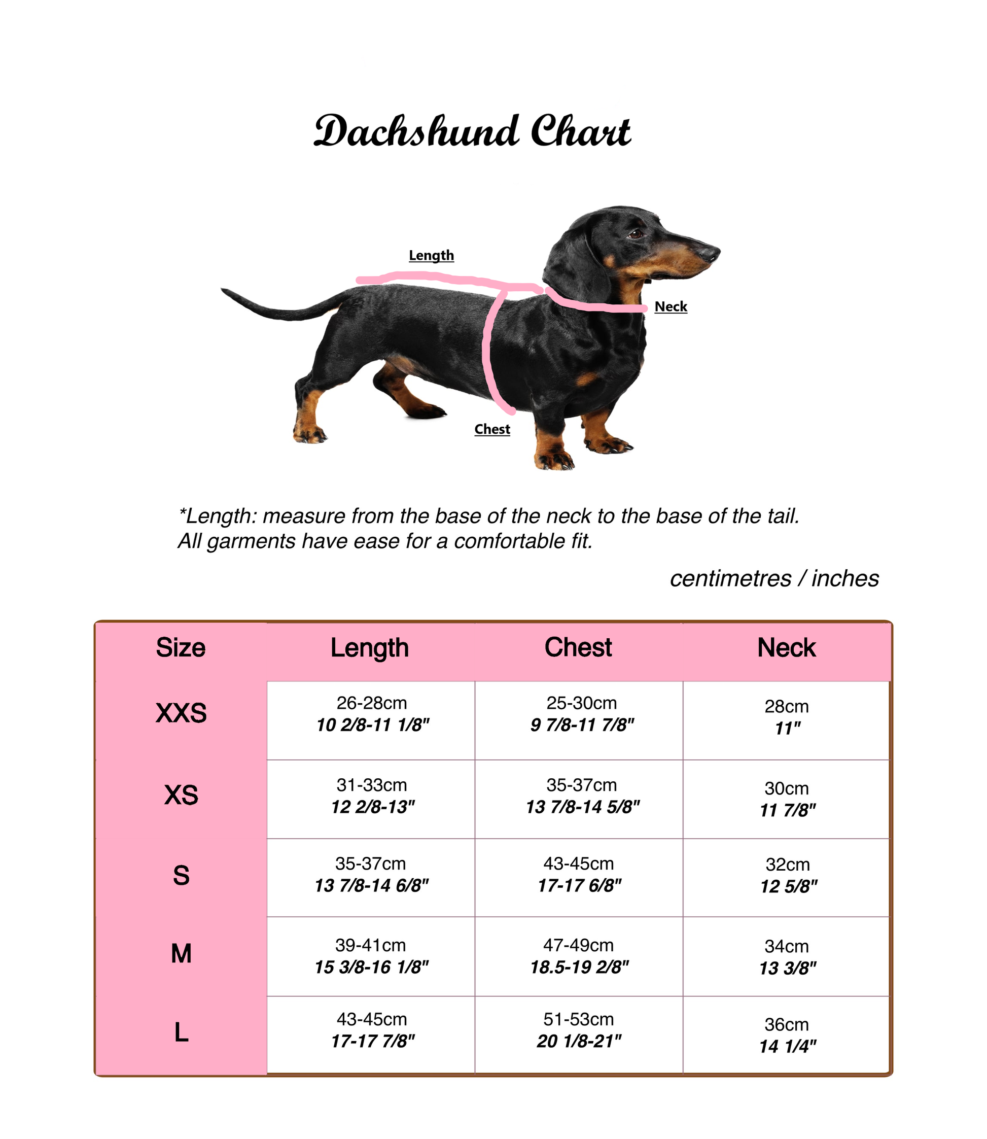Dachshund clothes shop size