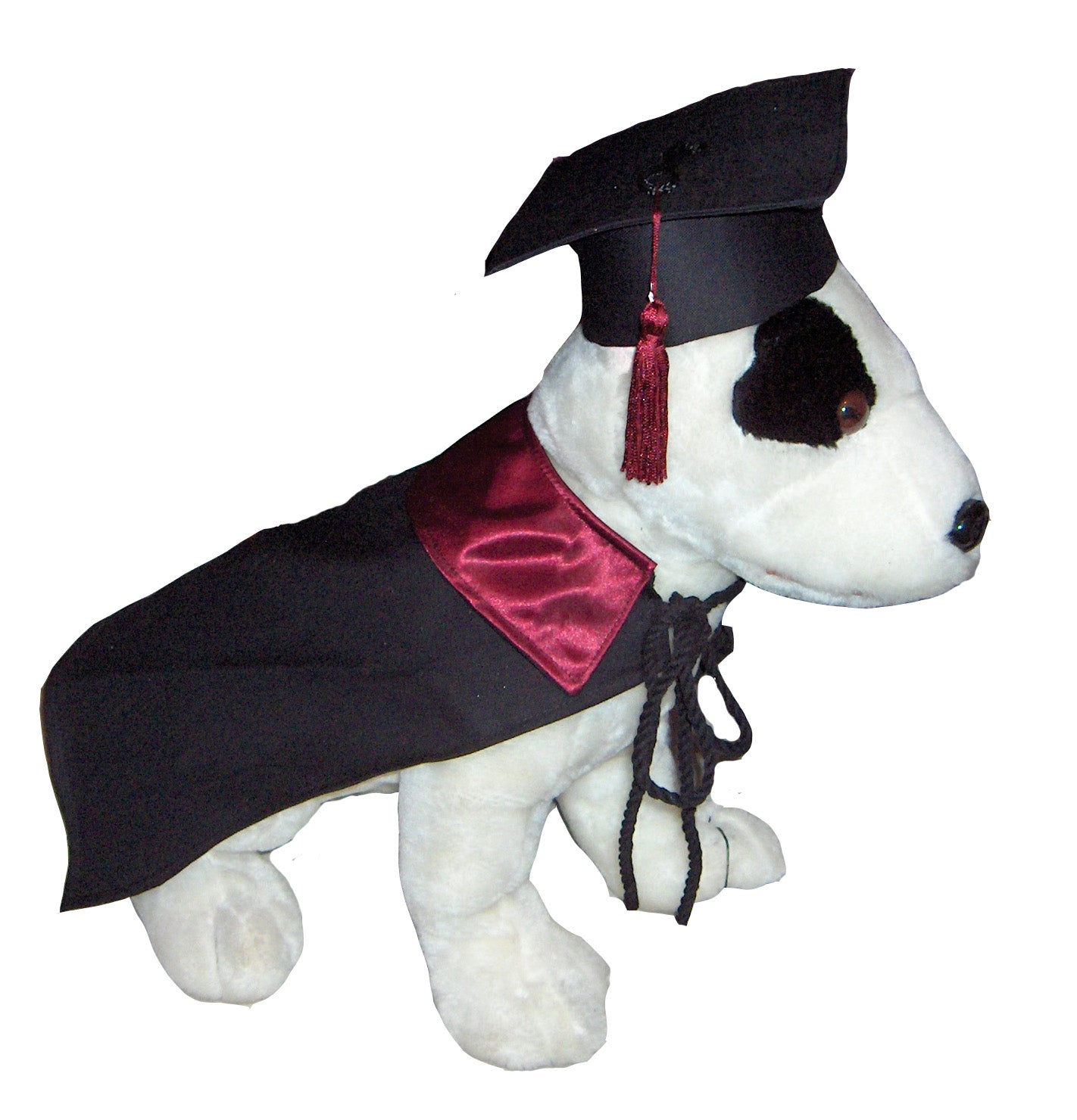 Amazon.com : Dog Graduation Cap with Yellow Tassel : Pet Supplies