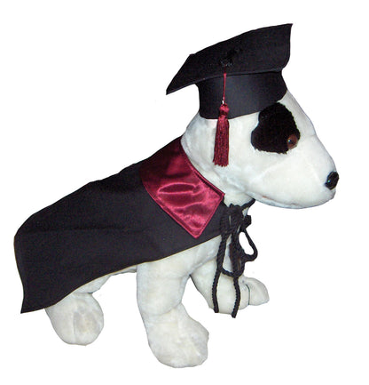 Graduation Robe Pets