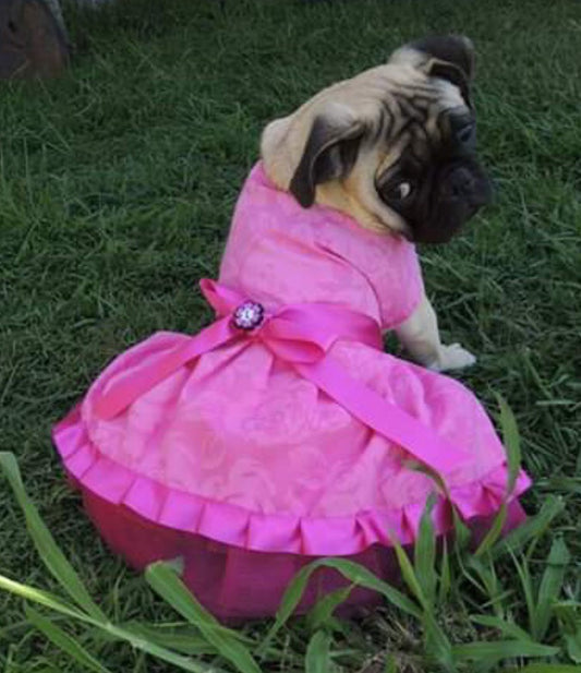 .NEW Pretty in Pink Dress
