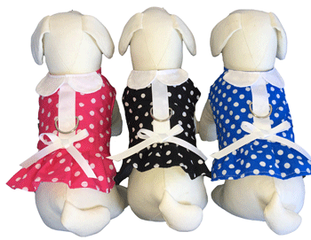 Polka Dot Harness