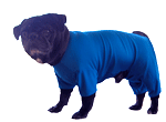 UV/Rash Suit BOY and  "NEW TRI-PAWDS"