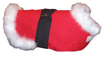 Santa Coat