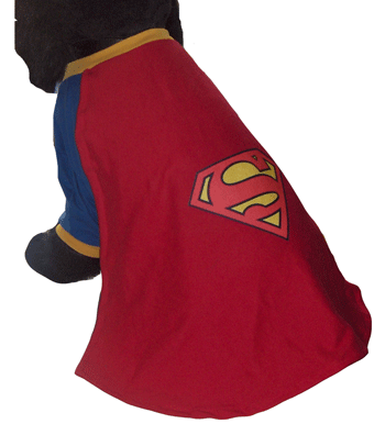 SuperDog